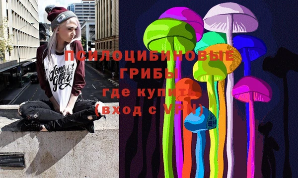 спайс Алзамай