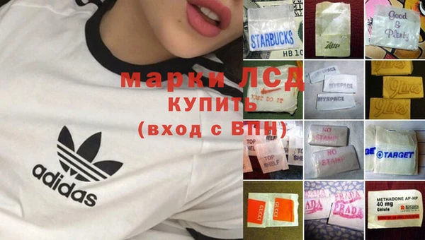 спайс Алзамай