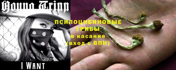 спайс Алзамай